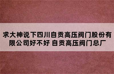 求大神说下四川自贡高压阀门股份有限公司好不好 自贡高压阀门总厂